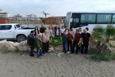 Hatay'da tedavisi tamamlanan caretta caretta denize bırakıldı