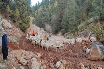 Adana'da yağış nedeniyle yaylada mahsur kalan 11 çoban ve hayvanları kurtarıldı