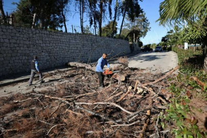 Adana'da şiddetli rüzgar etkili oldu