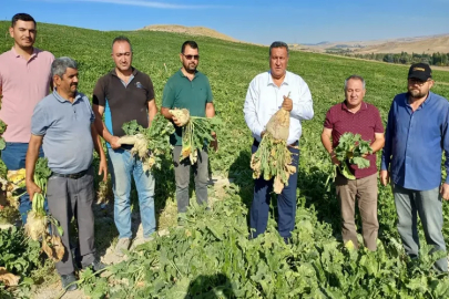 Gürer: Şeker pancarı ve patates üreticileri teslimatta mağduriyet yaşıyor