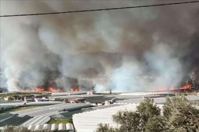 Kastamonu’da ormanlık alanda çıkan yangına müdahale ediliyor