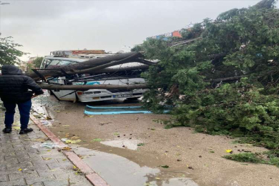 Adana'da kuvvetli rüzgar ve sağanak yaşamı olumsuz etkiledi