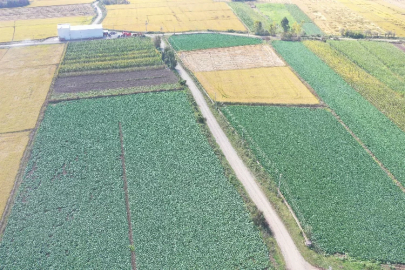 Tarım ve Orman Bakanı açıkladı