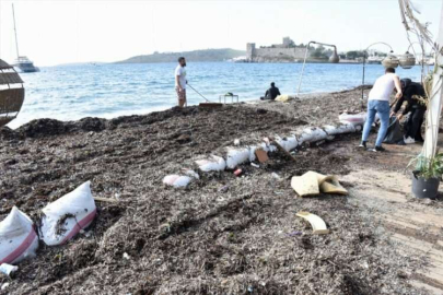 Bodrum'da kuvvetli rüzgarın ardından sahilde temizlik çalışması yapıldı