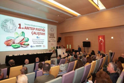 Antalya'da Antep fıstığı üretiminin geliştirilmesine yönelik çalıştay yapıldı