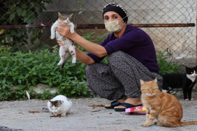 Kanser hastası kadın hayata hayvanlarla tutunuyor