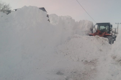 Kar ve tipi Posof’u esir aldı