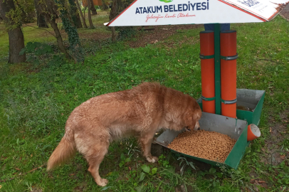 Atakum’da Patili Dostlar İçin Örnek Dayanışma