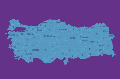 2023’de kadın cinayeti ve şiddetin bilançosu ağır oldu