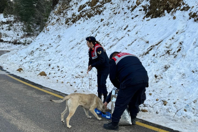 Osmaniye'de jandarma, kar altındaki hayvanlara mama dağıttı