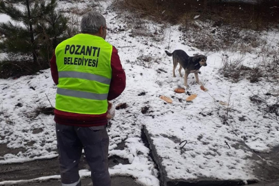 Pozantı Belediyesi’nden örnek davranış