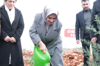 Bakan Göktaş Deprem Şehitleri Hatıra Ormanı'nda ilk fidanı dikti