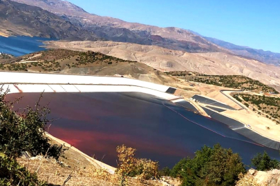 Erzincan'daki altın madeni faciası ve siyanür riski