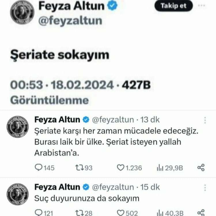 FEYZA ALTUN KİMDİR? 