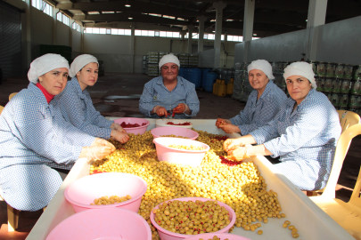 Sofralık zeytin ihracatı döviz bazında yüzde 52 artarak 74 milyon dolara ulaştı