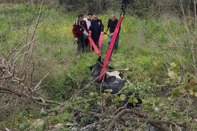 Adana'da balçığa saplanan ineği itfaiye ekipleri kurtardı