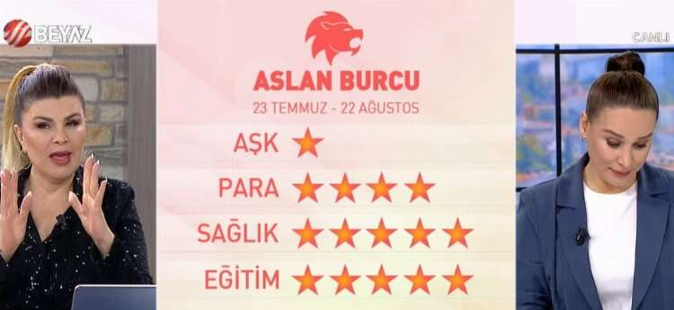 aslan burcu