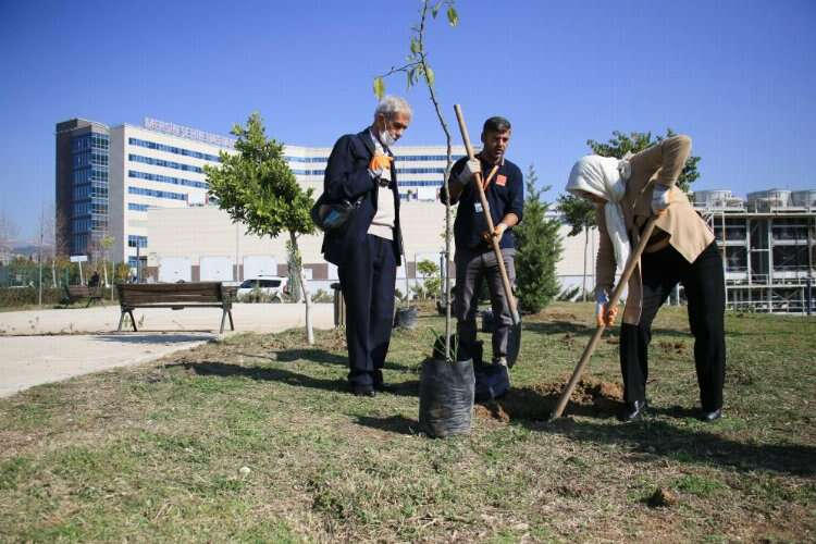 Sağlıklı Yaş Alma Merkezi