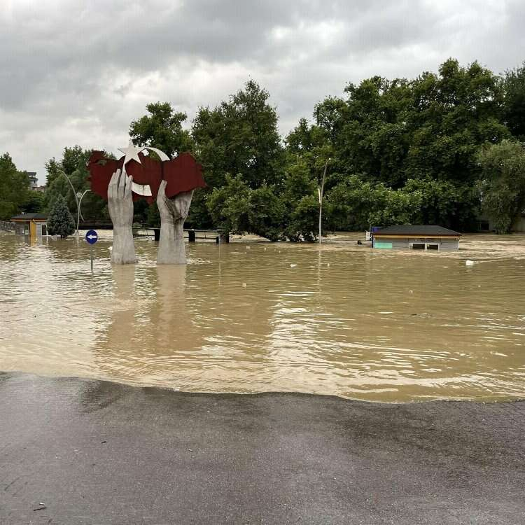 Bartın'da Dere Akaryakıta Bulandı!