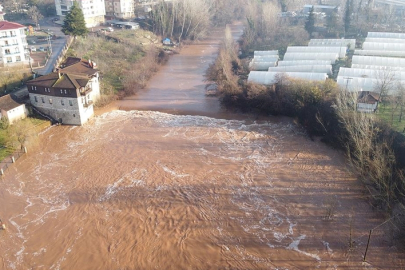 Bartın'da Dere Akaryakıta Bulandı!