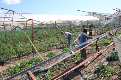 Hortumun zarar verdiği plastikleri örtüleri yeniden yapacak işçi bulamıyorlar