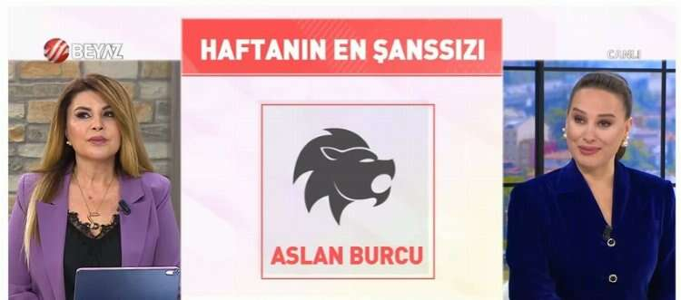 aslan burcu