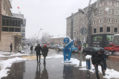 Erzurum Mart ayının son haftasında lapa lapa kar altında