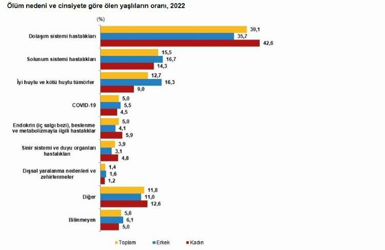 yaşlılarla istatistikler