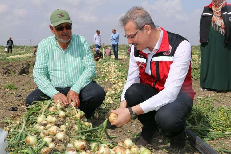 adana İl Tarım ve Orman Müdürü Mehmet Nuri Kökçüoğl