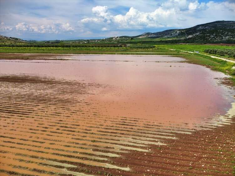 Osmaniye'de sağanak ve dolu, tarım arazilerine zarar verdi