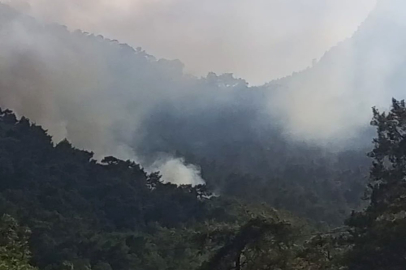 Son dakika: Kemer’de orman yangını