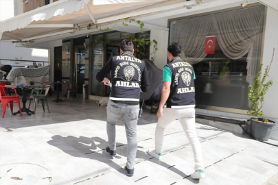 Antalya'da günübirlik kiralanan evlerin denetimi yapıldı