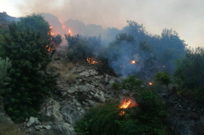 Mersin Tarsus'ta itfaiye ekipleri 10 yangına müdahale etti