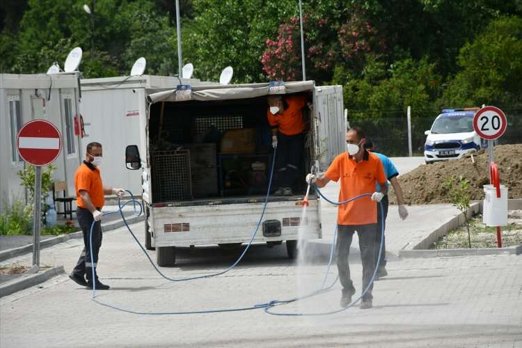 hatay defne kuduz