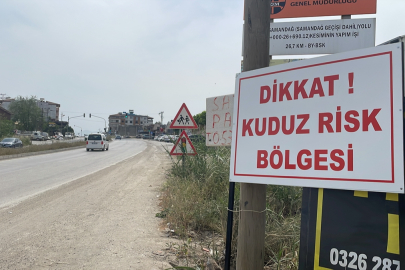 Kuduz tehlikesi: Hatay'da 2 mahalle karantinaya alındı