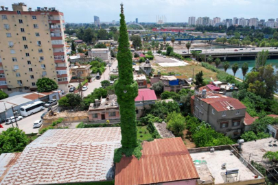 Adana'da 'Yeşil Cami' Köprüköy Camii, baharla birlikte yeniden yeşillendi