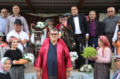 Antalya'nın Kumluca ilçesinde eşeklere dikkat çekmek için sembolik düğün yapıldı