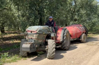 İznik'te çiftçi, tarlasında zeytin ağaçlarına zehir atarken hayatının şokunu yaşadı