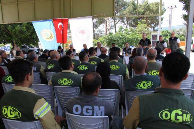 Mersin Orman Bölge Müdürlüğü