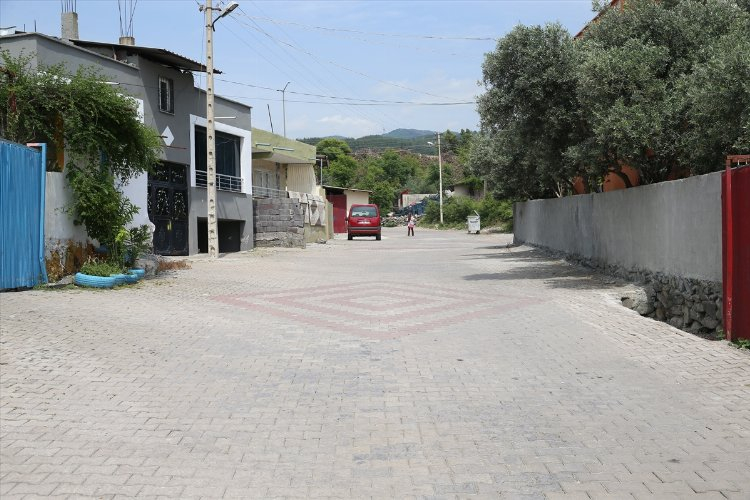 hatay sahipsiz köpek