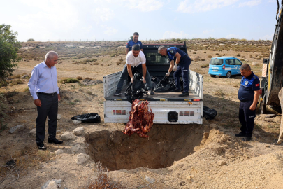 Mersin'de menşei belirsiz 500 kilo et ele geçirildi