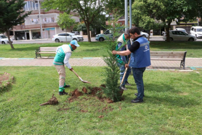 Haliliye Belediyesi yeşil alanları vatandaşların hizmetine açıyor