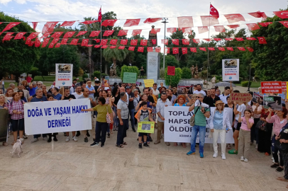 Hayvanseverlerden sokak hayvanlarının uyutulmasını öngören yasa teklifine tepki