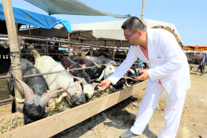 Adana'nın merkez ilçelerinde kurban satış ve kesim yerleri