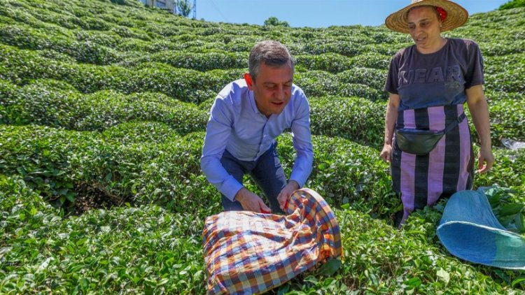 CHP'den Rize'de Çay mitingi Çay üreticisinin geçim derdi, bizim derdimizdir! 2