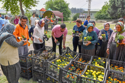 Mersin'de haşere mücadelesinde aromatik bitkiler kullanılıyor