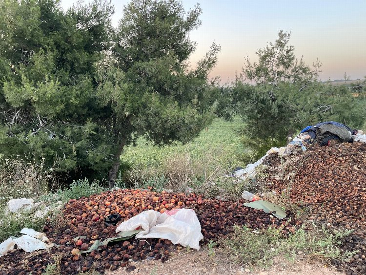 adana suriye kampı