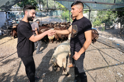 Adana'da kurbanlık satışları başladı: Vatandaşlara uyarılar var!