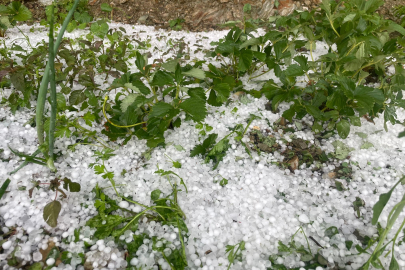 Adana'ya fındık büyüklüğünde dolu yağdı