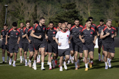 A Milli Futbol Takımı, Hannover'de halka açık antrenman yapacak